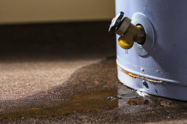 Best Flooded house restoration  in Grandview, OH