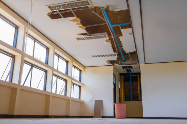 Best Flood damage cleanup  in Grandview, OH