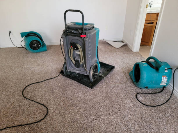 Best Water damage cleanup near me  in Grandview, OH