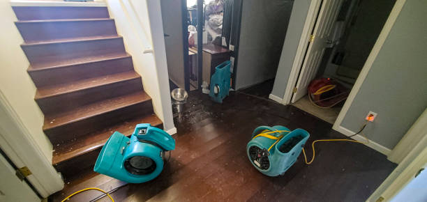 Best Carpet water damage restoration  in Grandview, OH