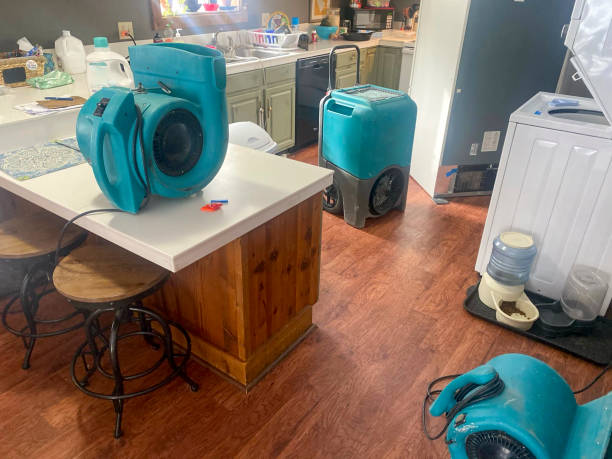Best Basement water damage restoration  in Grandview, OH