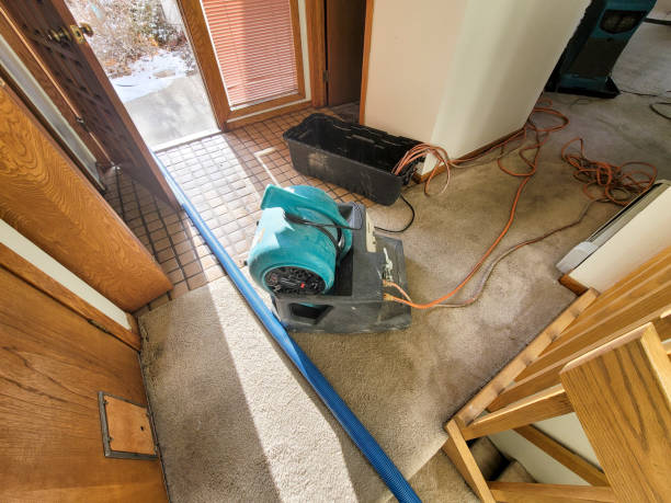 Best Fire Damage Restoration  in Grandview, OH