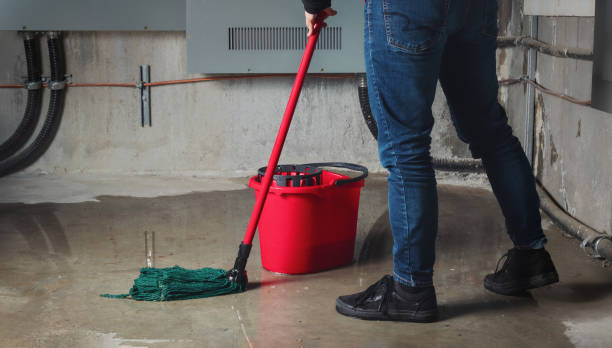 Best 24/7 water damage repair  in Grandview, OH