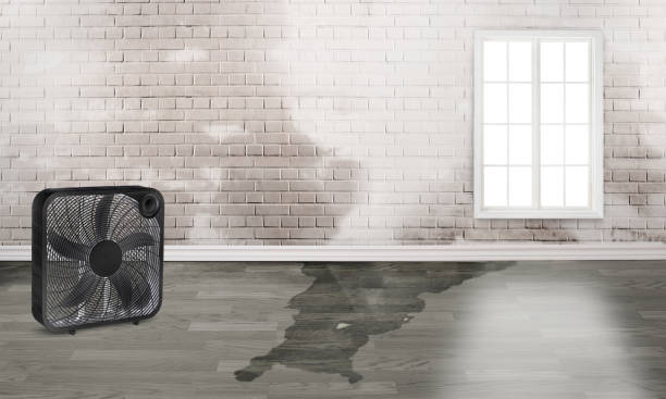 Best Fire Damage Restoration  in Grandview, OH