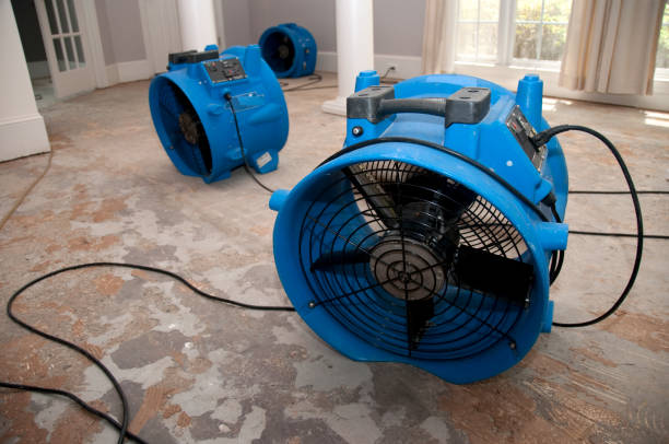 Best Emergency water damage restoration  in Grandview, OH