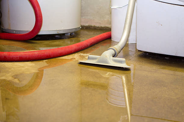 Best Water damage contractors near me  in Grandview, OH