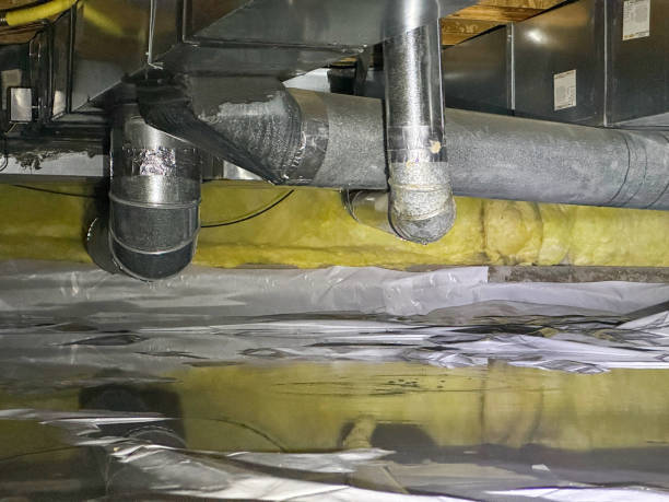 Best Mold removal after water damage  in Grandview, OH