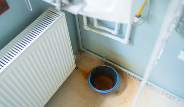 Best Water damage cleanup near me  in Grandview, OH