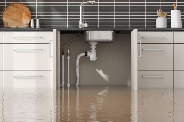 Best Commercial water damage restoration  in Grandview, OH