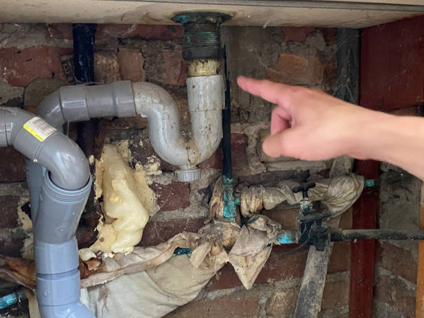 Best Flood damage cleanup  in Grandview, OH