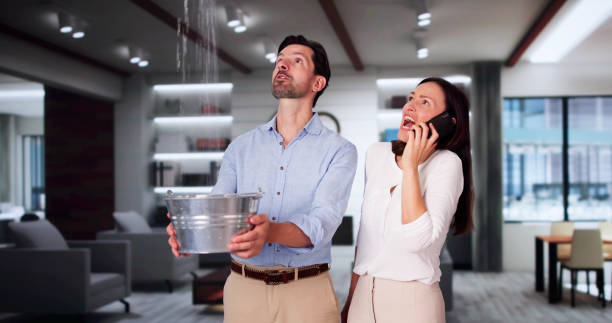 Best Basement water damage restoration  in Grandview, OH