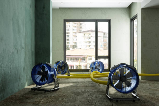 Best Residential water damage restoration  in Grandview, OH