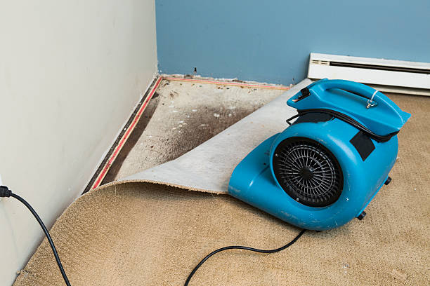 Water damage restoration experts in OH